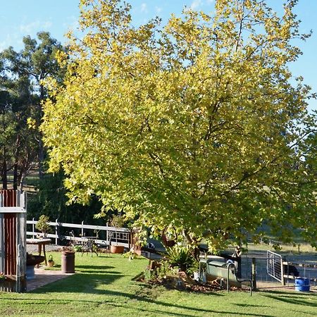 The Stables Hotel Wandin North Bagian luar foto