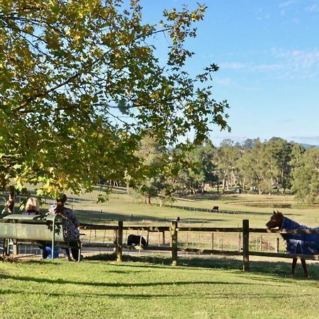 The Stables Hotel Wandin North Bagian luar foto