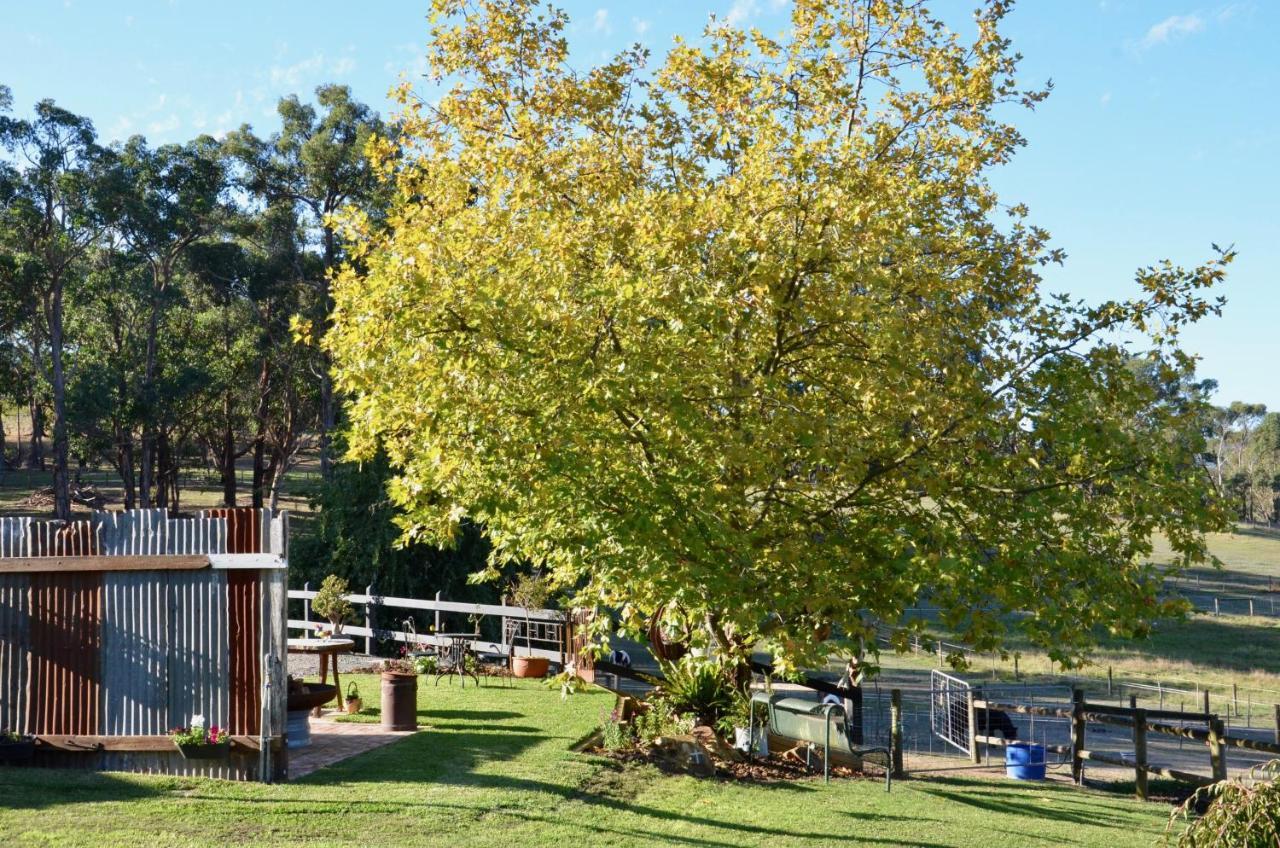 The Stables Hotel Wandin North Bagian luar foto