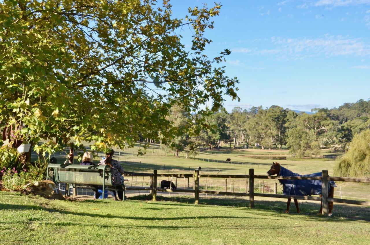 The Stables Hotel Wandin North Bagian luar foto