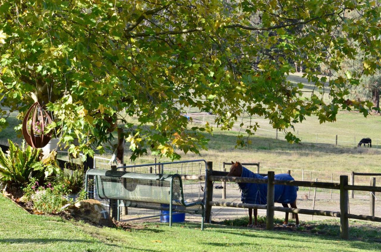 The Stables Hotel Wandin North Bagian luar foto