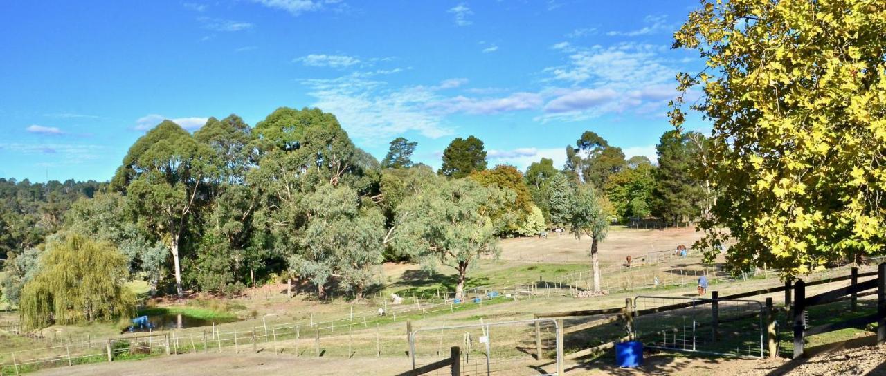 The Stables Hotel Wandin North Bagian luar foto